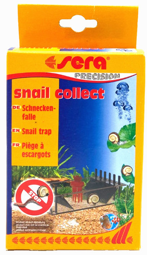 Trappola per lumache - , sera