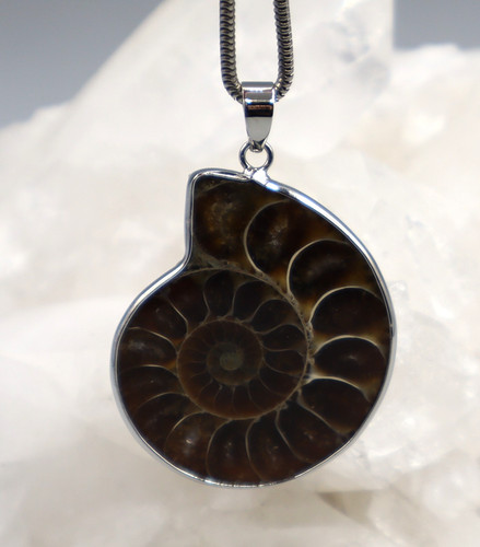 Grande ciondolo ammonite - grande,