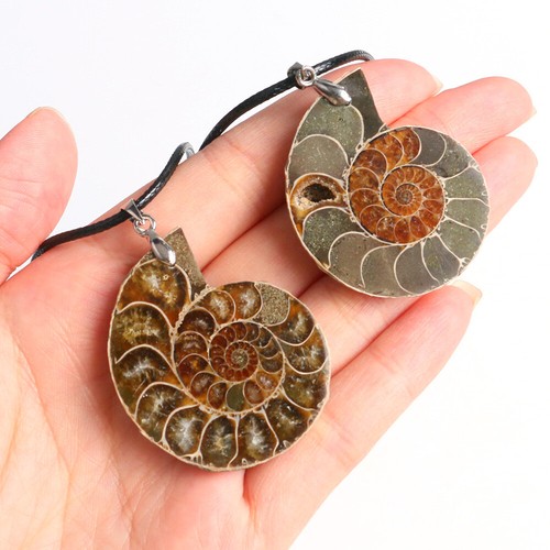 Ciondolo ammonite fossili
