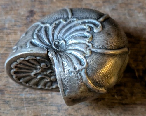 Sogno lumaca nautilus - lumaca,