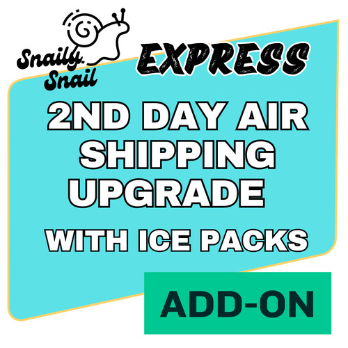 Ice pack express - pack,